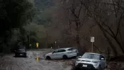 3 Killed by Falling Trees as Atmospheric River Hits California with Heavy Rain, Wind and Mudslides